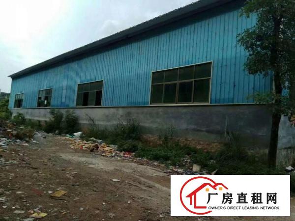 
		石碣新出偏僻独栋单一层钢结构厂房2200平方出租
	