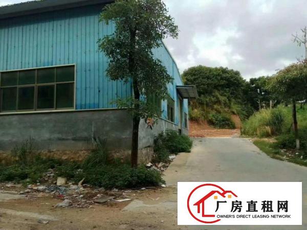 
		石碣新出偏僻独栋单一层钢结构厂房2200平方出租
	