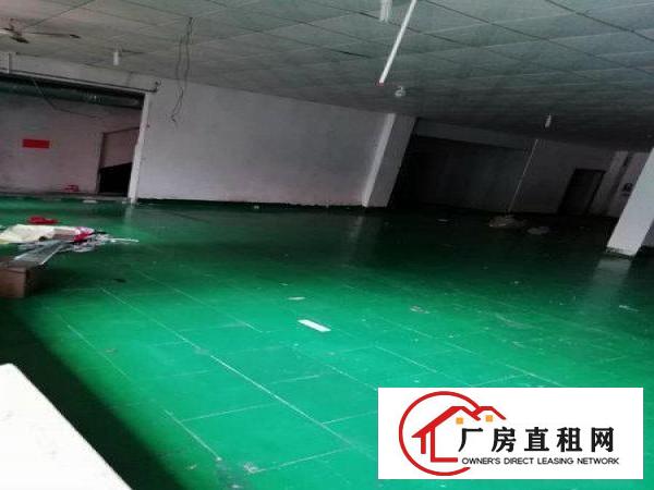 
		石碣新出标准独院厂房2500火热招租！
	