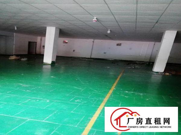 
		石碣新出标准独院厂房2500火热招租！
	