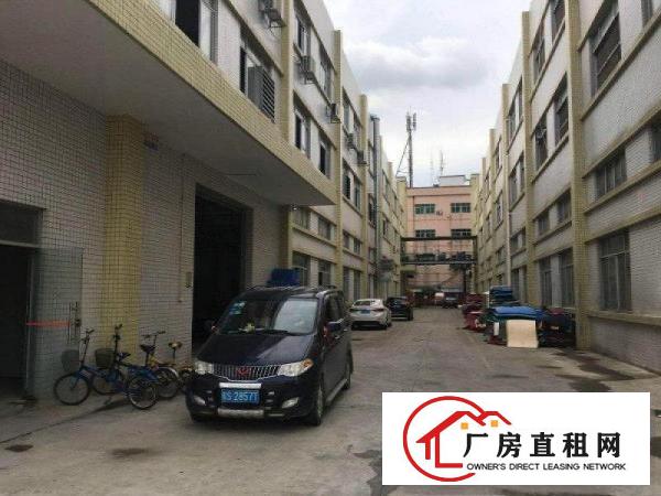 
		石碣横滘新出标准独栋厂房分租1楼1200火热招租
	