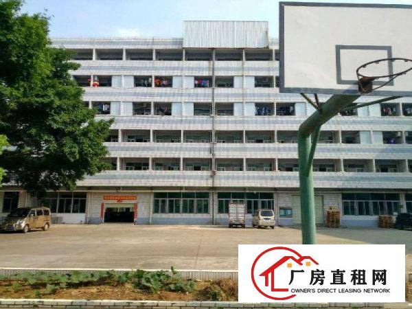 
		独院标准厂房空地大3000平分租，无公摊面积
	