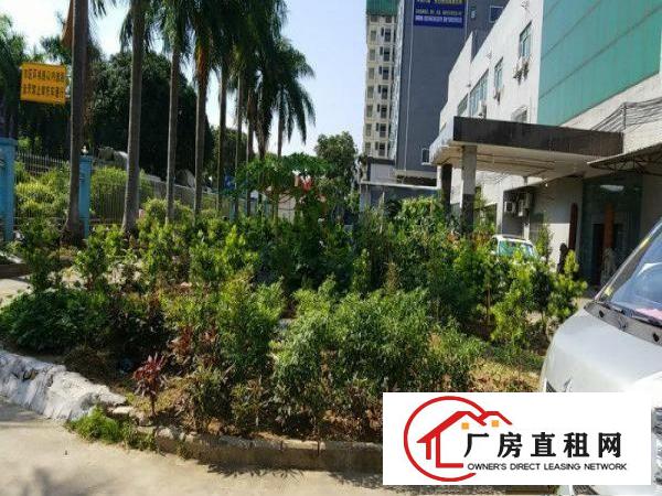 
		石碣花园式厂房3500平方空地大，绿化多，形象好
	