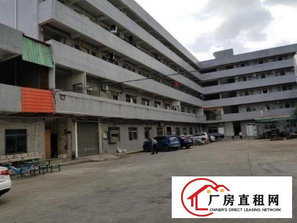 
		石碣花园式厂房3500平方空地大，绿化多，形象好
	