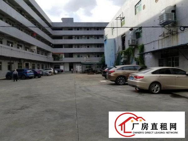 
		石碣花园式厂房3500平方空地大，绿化多，形象好
	