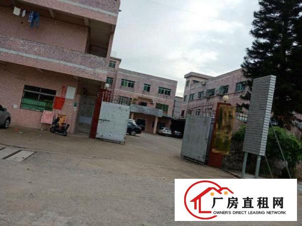 
		石碣新出标准小独院厂房570火热招租！
	