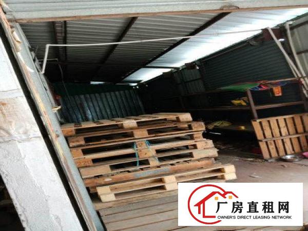 
		石碣新出独栋铁皮房300平方火热招租
	