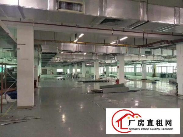 
		原房东原房东标准豪华装修独门独院
	