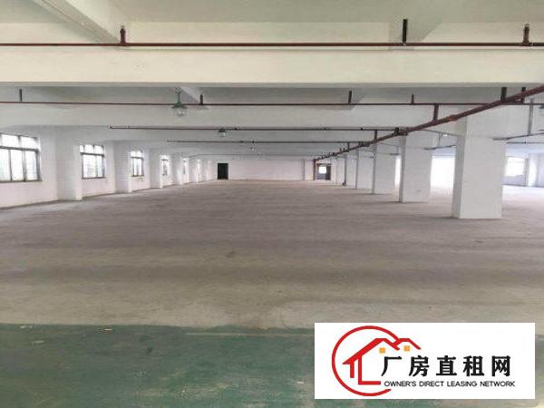 
		石碣沙腰标准独院厂房分租1.2楼！
	