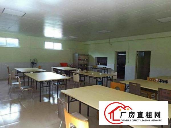 
		石碣刘屋新出无公摊整层2860平带空地超大直租
	