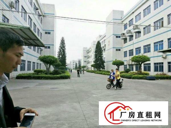 
		石碣水南工业区新出二楼带装修2000平招租（可分租
	