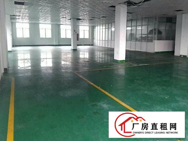 
		石碣水南工业区新出二楼带装修2000平招租（可分租
	