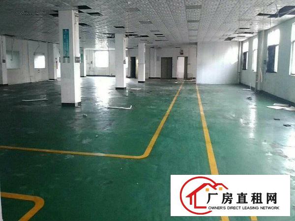 
		石碣水南工业区新出二楼带装修2000平招租（可分租
	