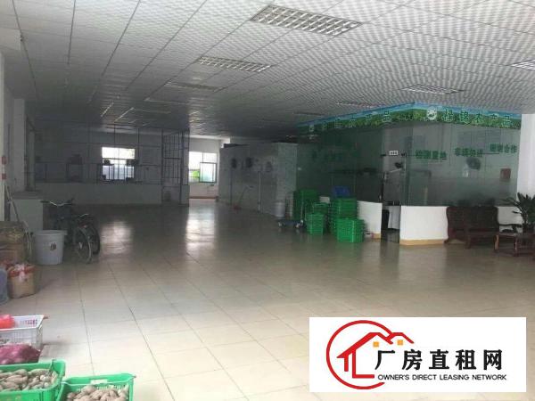
		石碣独院方厂房1020方一楼招租现成电量充足
	