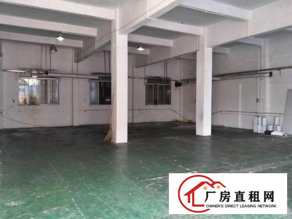 
		石碣独院厂房分租标准一楼1100方。租金12块
	
