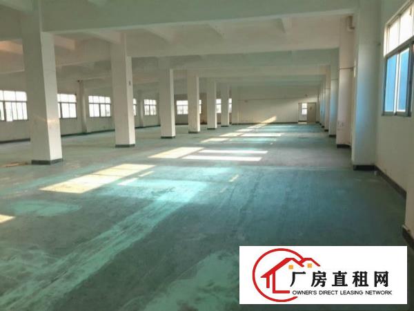 
		石碣标准厂房一楼1800平空地大环境优美
	