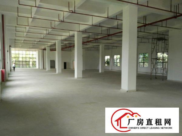 
		石碣一楼标准厂房面积1500方大路边全新厂房
	