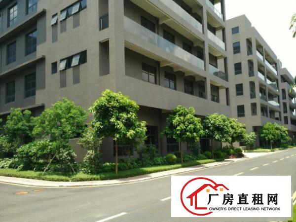 
		石碣一楼标准厂房面积1500方大路边全新厂房
	