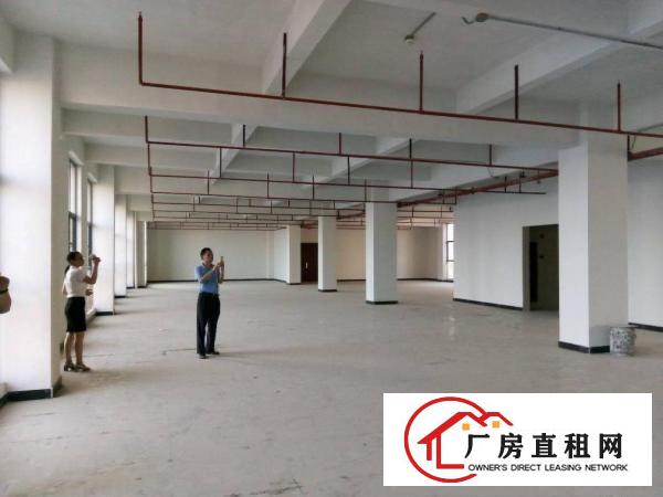 
		石碣独栋厂房10000和5000方（形象好可分）
	
