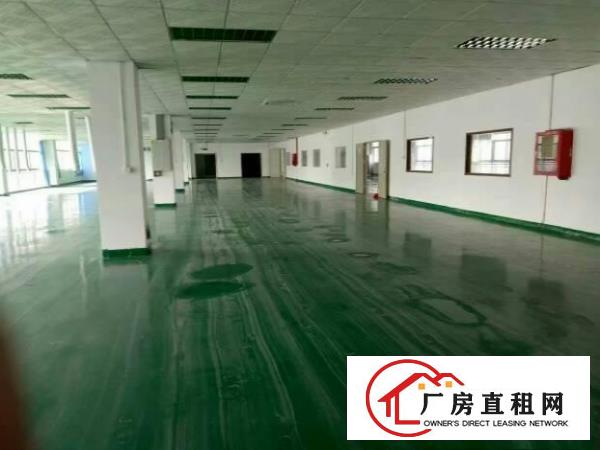 
		高埗新出标准独院厂房，豪华装修
	