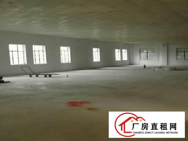 
		高埗厂房出租单一层独院厂房4200平全新装修
	