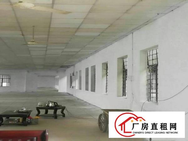 
		高埗厂房出租单一层独院厂房4200平全新装修
	
