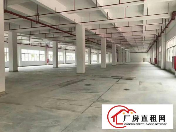 
		高埗镇形象美独院标准厂房带红本20000平
	