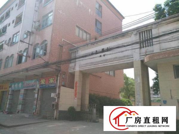 
		高埗镇独院标准厂房12000平大小可分租
	