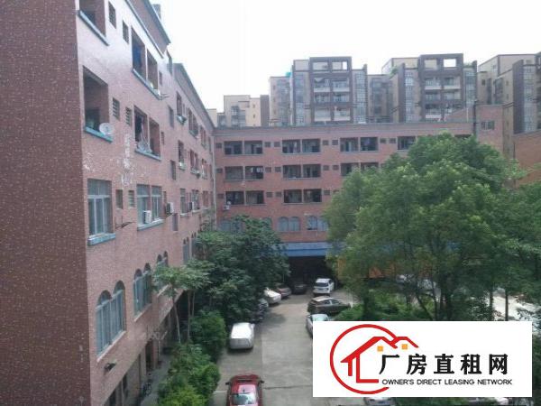 
		高埗镇独院标准厂房12000平大小可分租
	