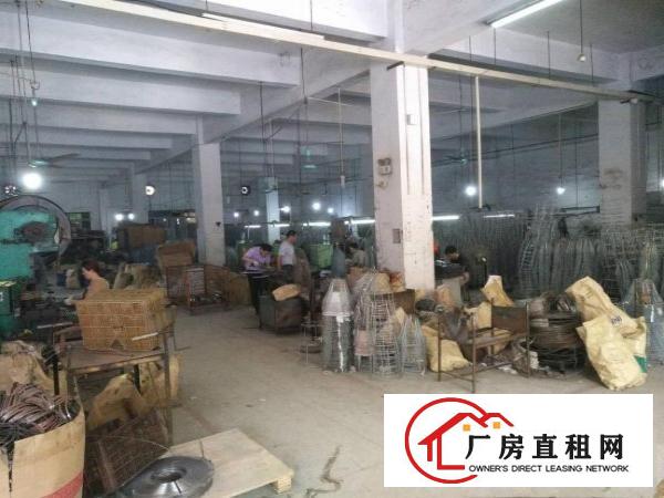 
		高埗镇独院标准厂房12000平大小可分租
	