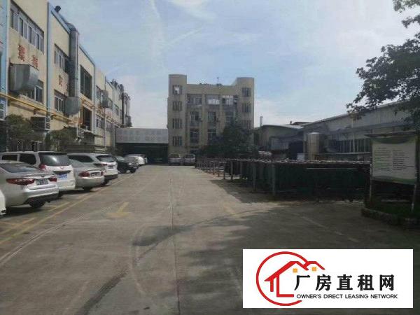 
		高埗保安围空地超大厂房招租
	