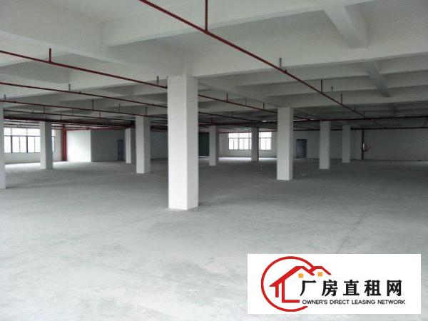 
		原房东独院标准厂房3300平方现代化厂房
	