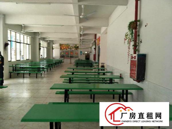 
		原房东独院标准厂房3300平方现代化厂房
	