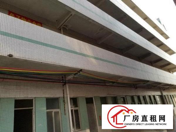 
		标准厂房一楼3500平，滴水8米，价钱面议
	