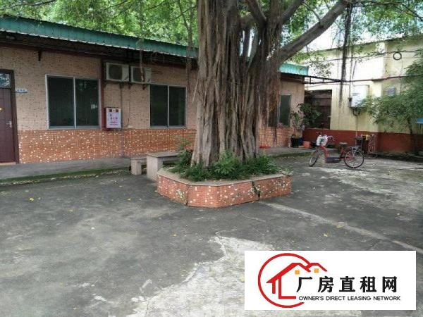 
		高埗厂房出租单一层480平位于镇中心
	