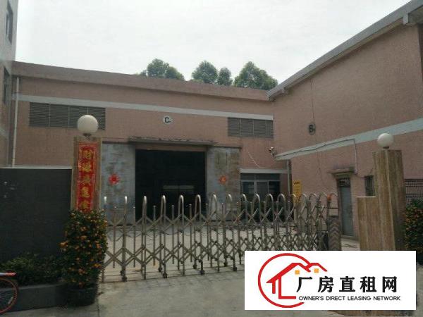 
		高埗厂房出租单一层钢构厂房宿舍办公共1410平
	