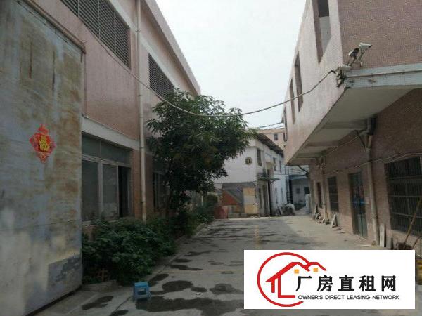 
		高埗厂房出租单一层钢构厂房宿舍办公共1410平
	