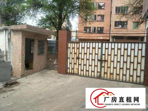 
		高埗厂房出租单一层钢构厂房宿舍办公共1410平
	