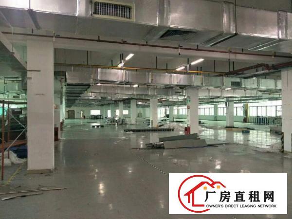 
		高埗超靓花园式厂房出租可分租超靓
	