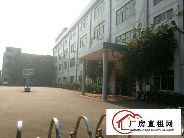 
		高埗镇冼沙原房东分租一楼2000平方
	