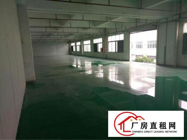 
		高埗镇冼沙原房东分租一楼2000平方
	