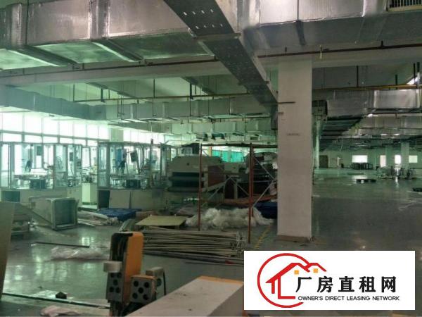 
		高埗现阶段形象好的花园式独院厂房带红本证件齐全
	