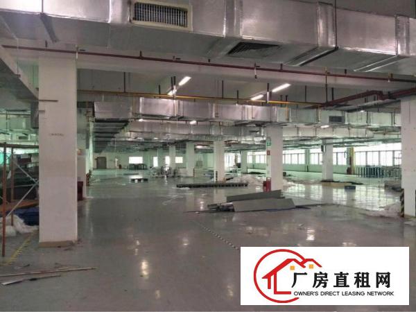
		高埗现阶段形象好的花园式独院厂房带红本证件齐全
	
