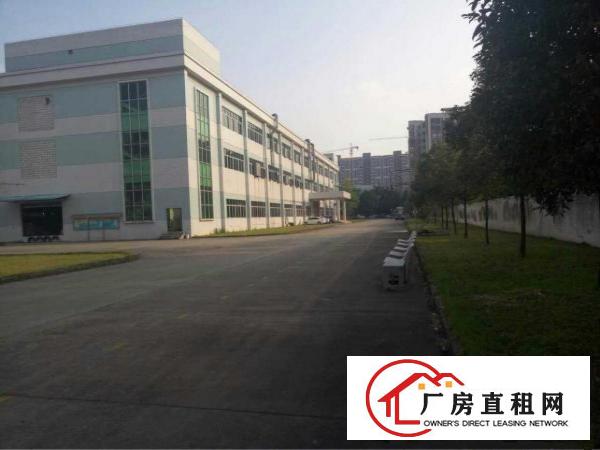 
		高埗原房东独院厂房招租形象空地大
	