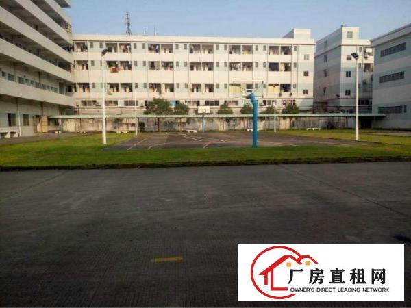 
		高埗原房东标准独院楼房出租形象好
	