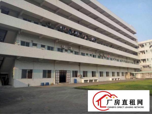 
		高埗原房东标准独院楼房出租形象好
	