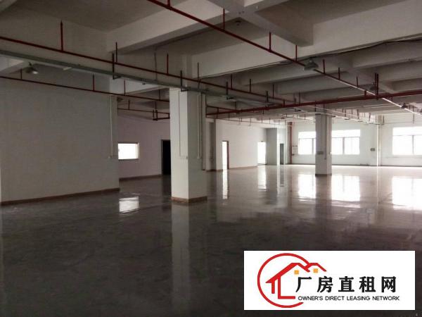 
		高埗镇工业园分租二楼880平带地坪漆办公室消防喷淋
	