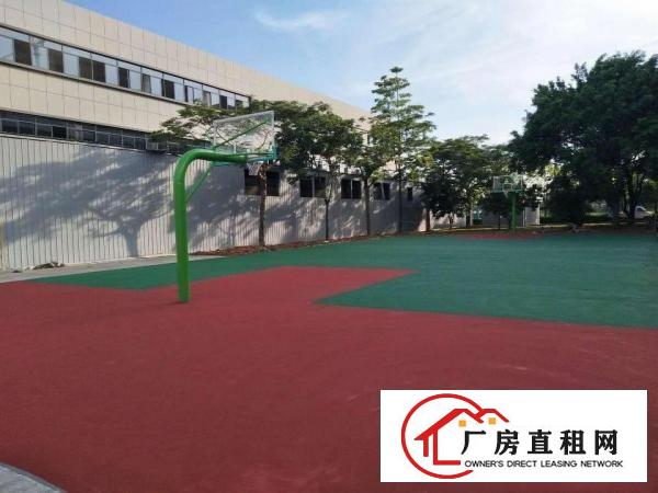 
		高埗工业区村委。私人独院厂房合适各种行业
	
