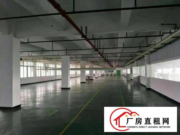 
		高埗独栋一二楼3600，每层1800，（可分租）
	