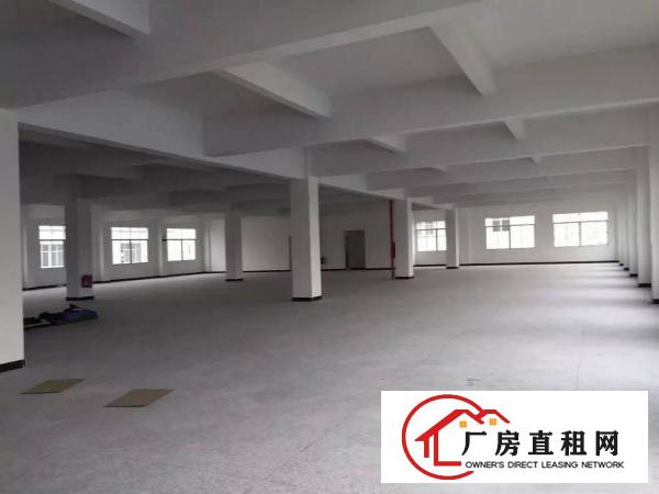 
		望牛墩1500平米一楼标准厂房出租，水电齐全
	